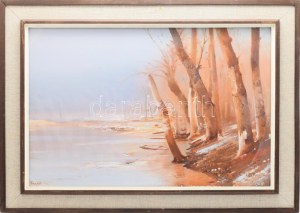 Fejér Csaba (1936-2002): Tiszapart. Olaj, farost, jelezve jobbra lent. 40x60 cm. Hátoldalán Sáfár GMK címkéjével...