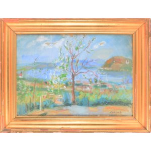 Mattioni Eszter (1902-1993): Virágzó fa, 1950-es évek. Olaj, vászon. Jelzett. Hátoldalán Képcsarnok Vállalat címkéjével...