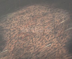 Muzsnay Ákos (1945-): Alak (cím nélkül), 1994. Vegyes technika, papír, jelzett. Üvegezett fakeretben...