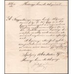 1864 Bakabánya (Hont vármegye) városi kapitányi kinevezés