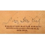 1944 Kolozsvári Mezőgazdasági Főiskola okleveles mezőgazdász oklevele, Kolozsvár, 1944. április 25., címerekkel ...