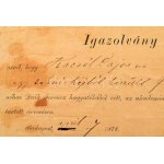 1878 Deák Ferenc (1803-1876) igazságügyminiszter, politikus, államférfi, a Haza bölcse fésűje. Teknős páncél...