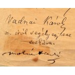 1878 Deák Ferenc (1803-1876) igazságügyminiszter, politikus, államférfi, a Haza bölcse fésűje. Teknős páncél...