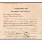 1857 Buda, Dr. Vaszary János (1833-1901) későbbi kaposvári köz- és váltó ügyvéd, érsekuradalmi tanácsos...