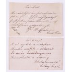 1873-1875 Pest, emlékkönyv (doboz) 25 különálló lapon magyar és német nyelvű bejegyzésekkel ...