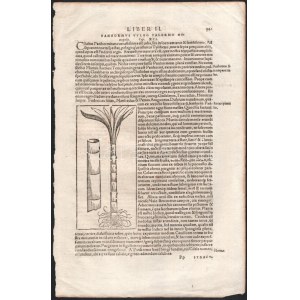 1570 Sebastian Münster Cosmographia című munkájának Siracusát ábrázoló fametszetű lapja hátoldalán Palermo olasz város l