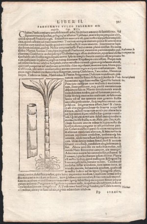 1570 Sebastian Münster Cosmographia című munkájának Siracusát ábrázoló fametszetű lapja hátoldalán Palermo olasz város l
