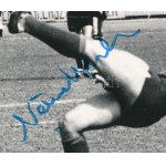 Németh Miklós (1946- ) labdarúgó, csatár, a Csepel FC (korábban az FTC) játékosának autográf aláírása őt ábrázoló fotón...