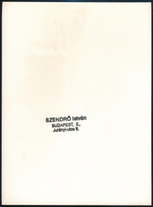 1945 Szendrő István (1908-2000): Budapest, a felrobbantott Erzsébet híd, hátoldalon pecséttel jelzett fotó...
