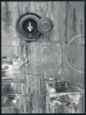 1964 Nagy Zoltán (1943) magyar (később Rómában élő...