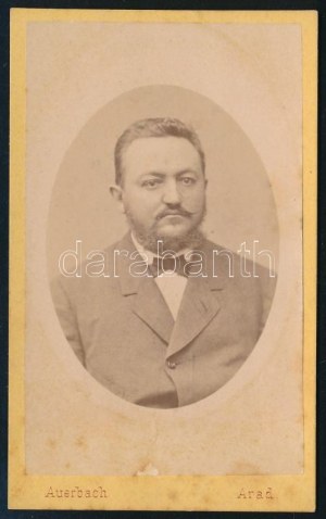 cca 1874 Partenie Cosma (1837-1923) román politikus, keményhátú fotó Auerbach Miksa aradi műterméből, 10,5×6...