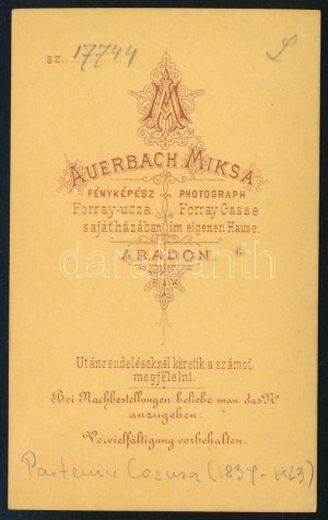 cca 1874 Partenie Cosma (1837-1923) román politikus, keményhátú fotó Auerbach Miksa aradi műterméből, 10,5×6...