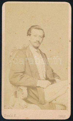 1868 Myskovszky Viktor (1838-1909) építész, művészettörténész, keményhátú fotó Divald Károly eperjesi műterméből, 10...