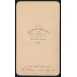 1868 Myskovszky Viktor (1838-1909) építész, művészettörténész, keményhátú fotó Divald Károly eperjesi műterméből, 10...