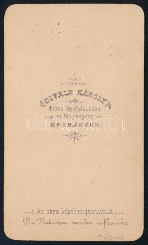 1868 Myskovszky Viktor (1838-1909) építész, művészettörténész, keményhátú fotó Divald Károly eperjesi műterméből, 10...
