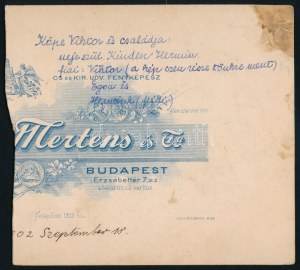 1902 Köpe (Keöpe) Viktor író és családja, keményhátú fotó hátoldalon feliratozva, vágott, felületi sérüléssel...