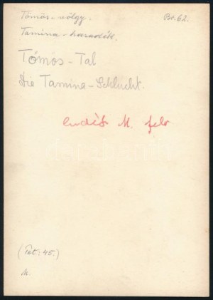 cca 1910 Brassó környéki hegyek, Tömös-völgy, Tarmina hasadék, Erdélyi Mór (1866-1934) felvétele...