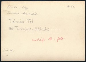 cca 1910 Brassó környéki hegyek, Tömös-völgy, Tarmina hasadék, Erdélyi Mór (1866-1934) felvétele...
