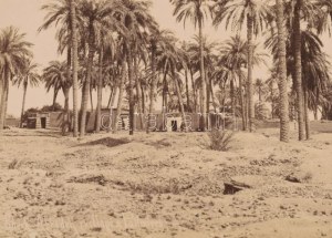 cca 1890-1900 Jean Pascal Sébah (1872-1947): Sheik Abada (Egyiptom, Antinoopolis, ma: El Sheikh Ibada)...