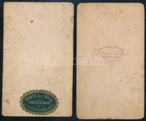 cca 1865 Női és családi portré, 2 db keményhátú fotó Pribék és Társa, Schmidt székesfehérvári műterméből, foltos, 10...