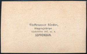 cca 1865 Testvérek, keményhátú fotó Tiefbrunner Sándor soproni műterméből, 10,5×6,5 cm