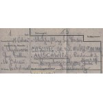 cca 1944 Expressz vasúti fuvarlevél az Auschwitzi koncentrációs táborba egy élelmiszercsomagról...