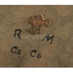 1921 R[egnum] M[arianum] cs[erkész]cs[apat] Senyővölgyi cserkésztábor 1921. jul. 4. - aug. 6. fotóalbum...