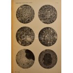 A Balaton tudományos tanulmányozásának eredményei. Geologiai, petrografiai, mineralogiai és ásványchemiai függelék I...