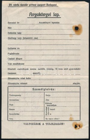 1919 Bp., 29. vörös dandár póttest csoport anyakönyvi lap kitöltetlen nyomtatványa, hátoldalán M. kir...