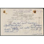 1919 Bp., 29. vörös dandár póttest csoport anyakönyvi lap kitöltetlen nyomtatványa, hátoldalán M. kir...