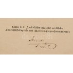1874-1906 Herpich Ferenc hajógépész bizonyítványai, okmányai, összesen 6 db, közte a Cs. és Kir...