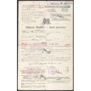 1918 Dunai Flottila. S.M.S. Tulln matrózának szóló nyílt parancs Brailába Budapestről Odesszán keresztül...