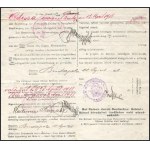 1918 Dunai Flottila. S.M.S. Tulln matrózának szóló nyílt parancs Brailába Budapestről Odesszán keresztül...