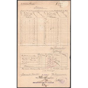 1916 Dunai Flottila.Pb. PILLANGO nagyon ritka hajó hivatalos okmánya, szakirodalomban ismeretlen pecséttel...