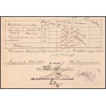 1916 Dunai Flottila.Pb. PILLANGO nagyon ritka hajó hivatalos okmánya, szakirodalomban ismeretlen pecséttel...