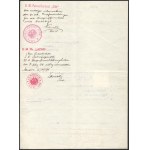 1916 Az S.M.Pb. Lachs és Stör - Dunai Flottila hajók: Számla, nagyon ritka hajópecséttekkel Invoice from Ganz &amp...