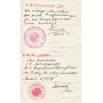 1916 Az S.M.Pb. Lachs és Stör - Dunai Flottila hajók: Számla, nagyon ritka hajópecséttekkel Invoice from Ganz &amp...