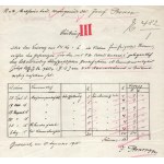 1916 Az S.M.Pb. Fogas (ex I) - Dunai Flottila hajó...