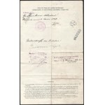 1918 Dunai Flottila. S.M.S. UNA. Richard Grimm, az S.M.S. Una 25 éves matróza 1917. május 6-i menetlevele...
