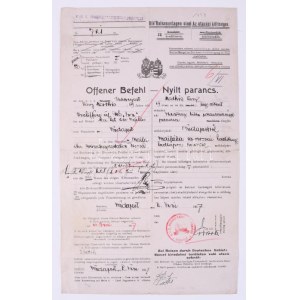 1917 Az S.M.S. Inn - Dunai Flottila monitor matróza részére kiadott nyílt parancs...
