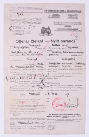 1917 Az S.M.S. Inn - Dunai Flottila monitor matróza részére kiadott nyílt parancs...