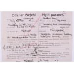 1917 Az S.M.S. Inn - Dunai Flottila monitor matróza részére kiadott nyílt parancs...