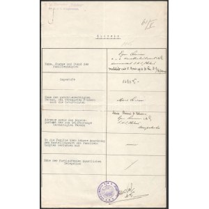 1915 Dunai Flottilla. Egon Quirini (tartalékos) Korvettenkapitány gépelt személyi lapja az S.M.S...