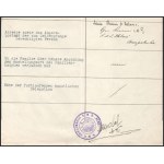 1915 Dunai Flottilla. Egon Quirini (tartalékos) Korvettenkapitány gépelt személyi lapja az S.M.S...