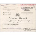 1918 Dunai Flottila. Nyílt parancs D. Csongrady hadnagynak és az Erzh. Franz Ferdinand kórházhajó matrózának egy oda...