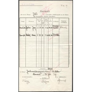 1917 Az S.M.S. Enns - Dunai Flottila monitor parancsnokának kézzel írt kimutatása fizetésekről...