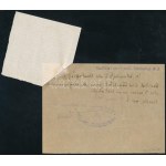 1918 Dunai Flottila. S.M. Spitalschiff Erzherzog Franz Ferdinand Hivatalos elismervény...