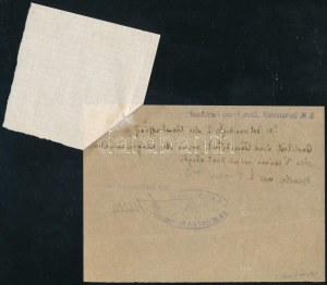 1918 Dunai Flottila. S.M. Spitalschiff Erzherzog Franz Ferdinand Hivatalos elismervény...