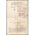 1915 S.M.D. Álmos Dunai Flottilla hajója Menetlevél egy matróz részére. Budapest-Pancsova. // Danube Fleet...