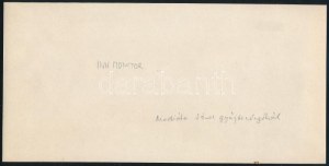 1918 Az S.M.S. Inn - Dunai Flottila hajó és legéynségéről készült nagy, eredeti fotó 25x12 cm The entire crew of S.M.S...